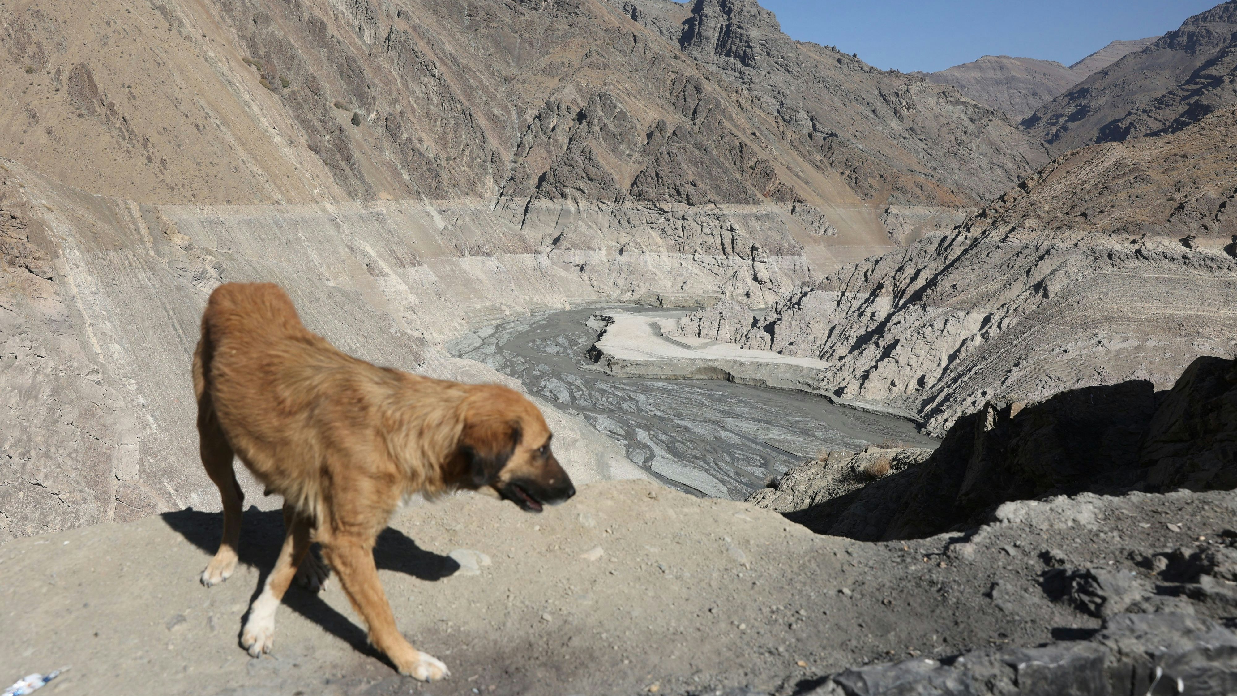 Heute.at - Desaster – Klimakrise trocknet DIESES riesige Land aus