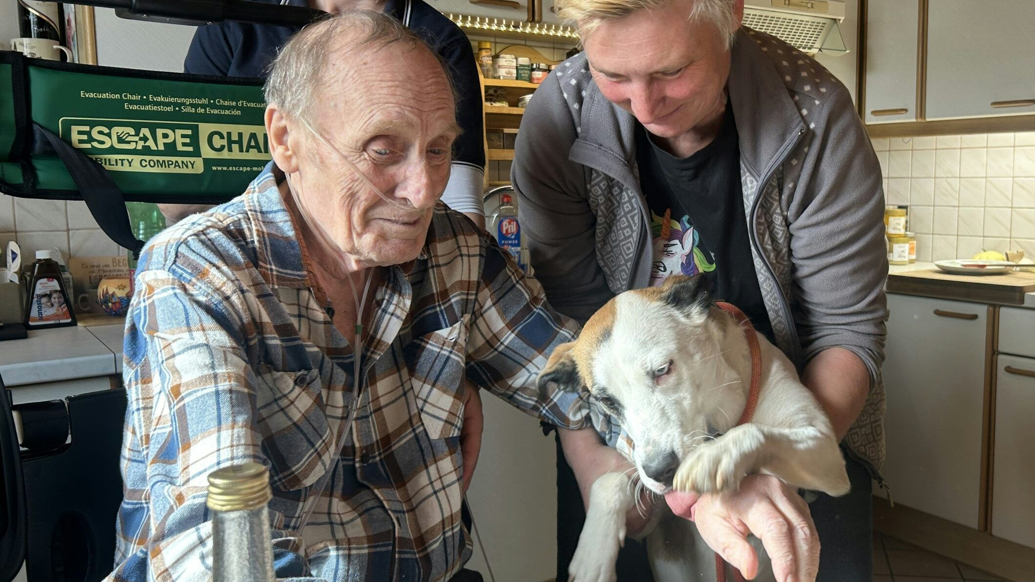Heute.at - Treuer Freund: Todkranker darf Hund noch einmal sehen