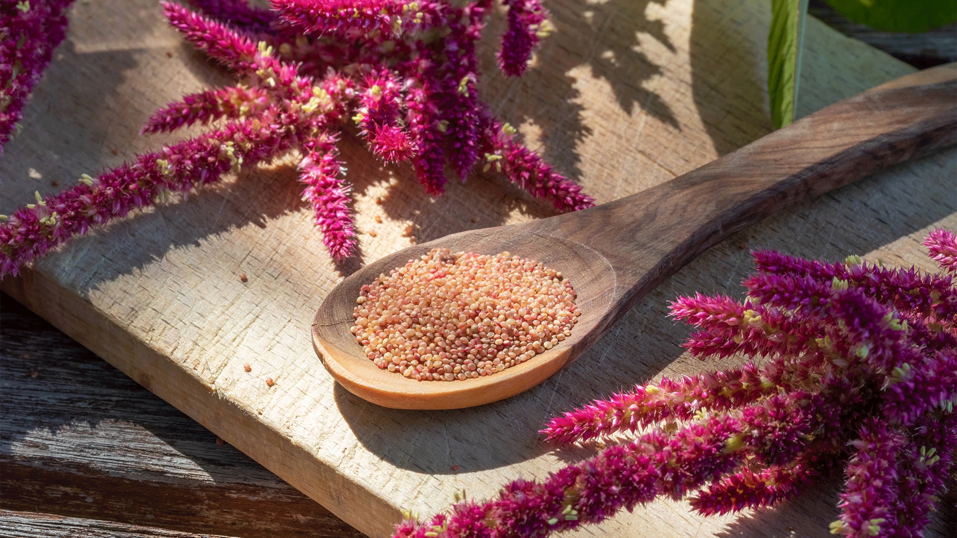 Heute.at - Wieso du dieses proteinreiche Superfood essen solltest