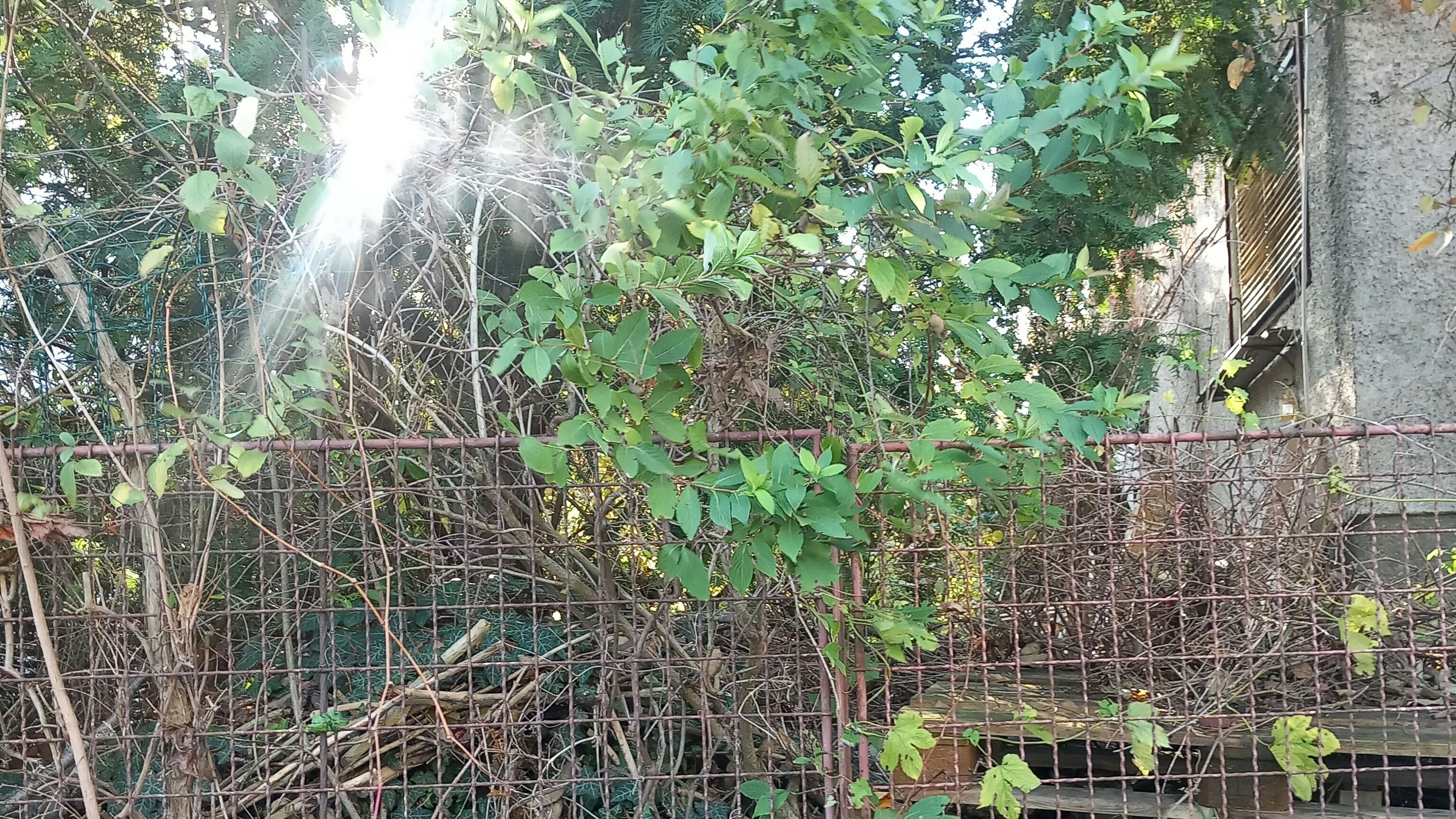 Verdreckt, zugemüllt und eine Gefahr für die Bevölkerung.