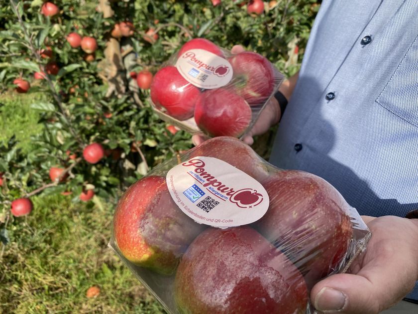 Um Verwechslungen mit anderen Apfelsorten zu vermeiden, sind die allergikerfreundlichen Äpfel 