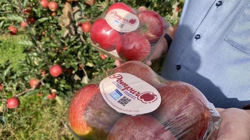 Heute.at - Neue Apfelsorte für Allergiker – das kann Pompur
