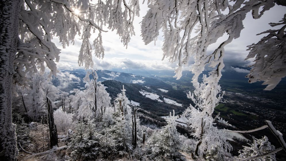 Heute.at - Bricht der Polarwirbel? Uns könnte Dauerfrost drohen