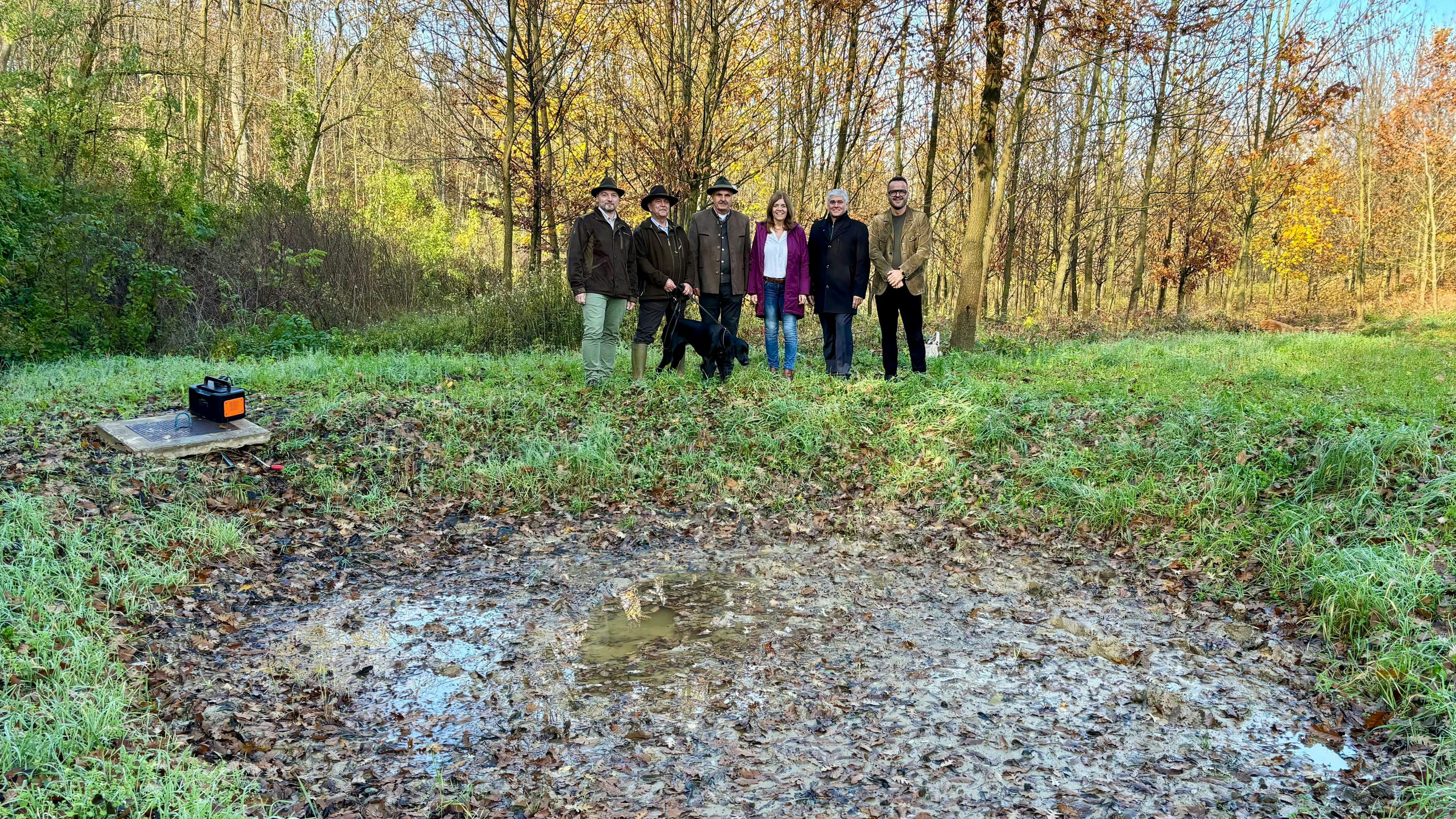 Heute.at - Neben Windpark entsteht auch ein Naturparadies