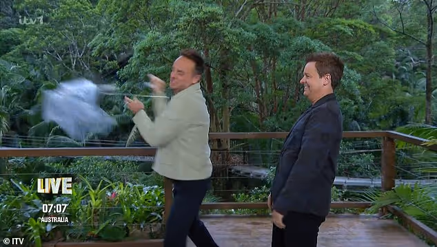 Moderator Ant ist richtig sauer auf seinen Schirm.