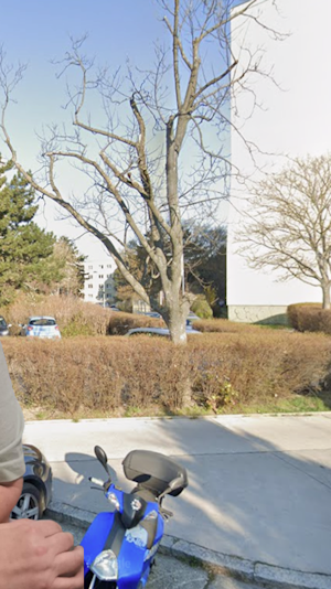 Multiple Sklerose: Wienerin kämpft für barrierefreies Bad. Förderungen, Spendenaufruf und Herausforderungen bei Wiener Wohnen im Fokus.