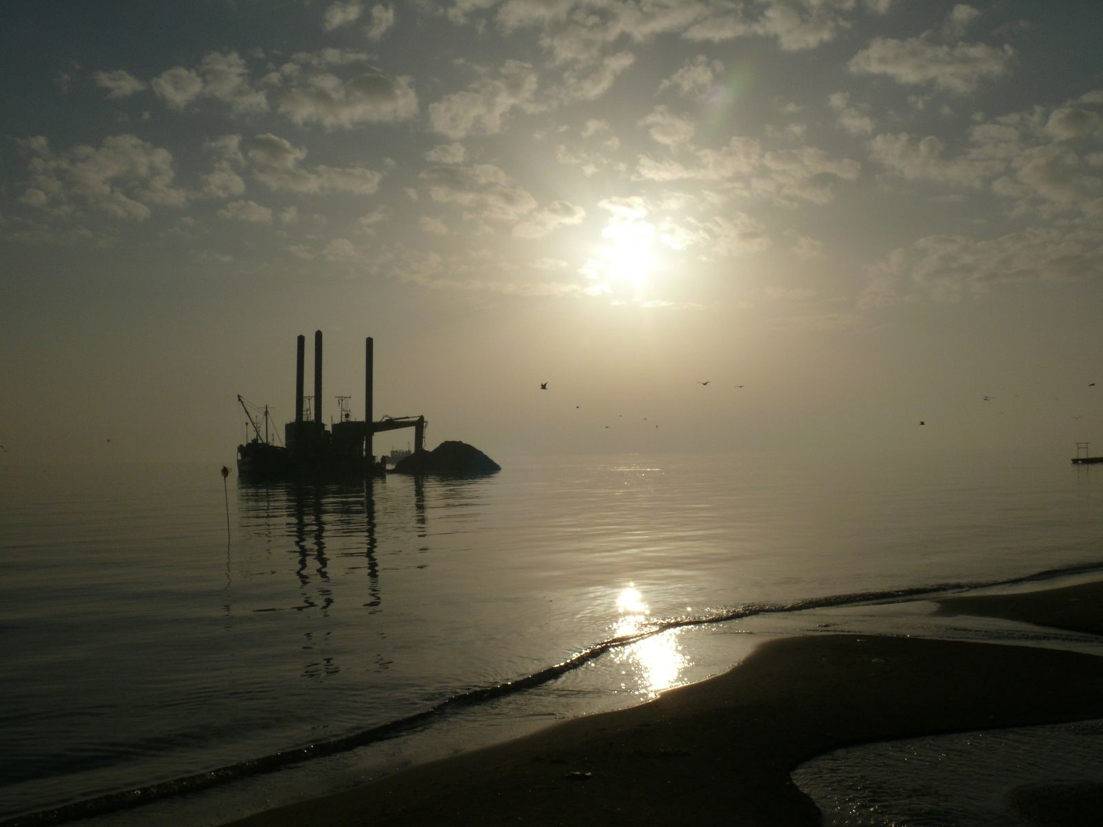 Heute.at - Tiefsee – Forscher machen erschreckende Entdeckung