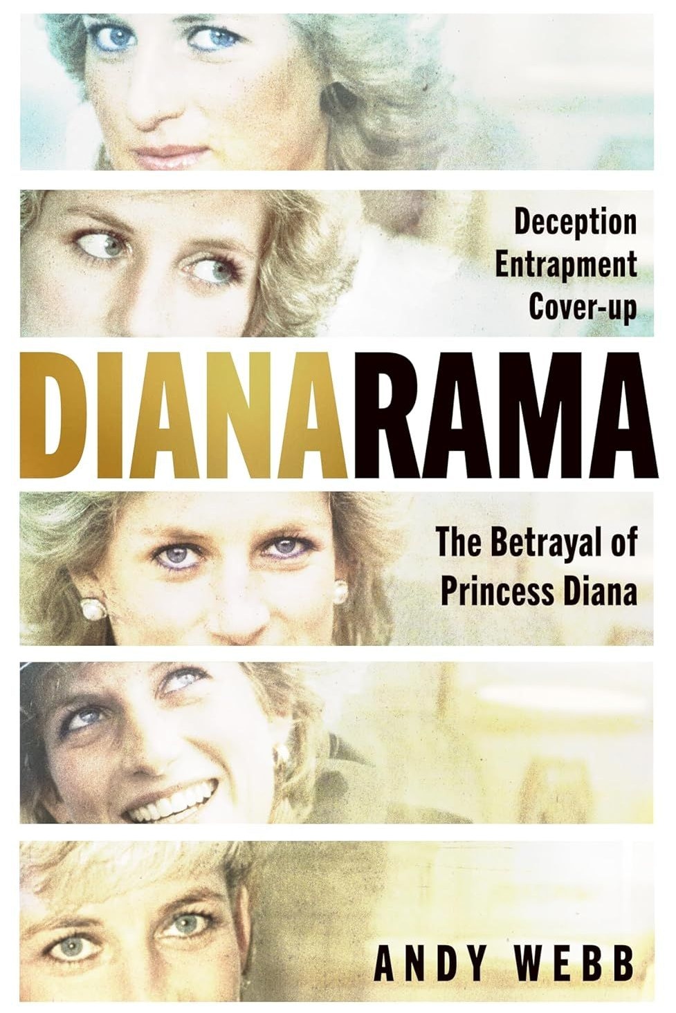 Andy Webb "Dianarama: Der Verrat an Prinzessin Diana", Penguin Books, ca. 16 Euro