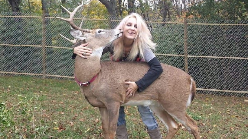 Heute.at - Jodi rettet Hirsch und wird von ihm zu Tode gebissen
