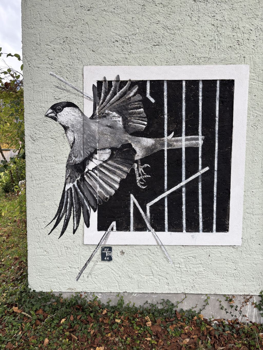 Heute.at - Lebenslange Ehe zerstört – so grausam ist die Vogeljagd