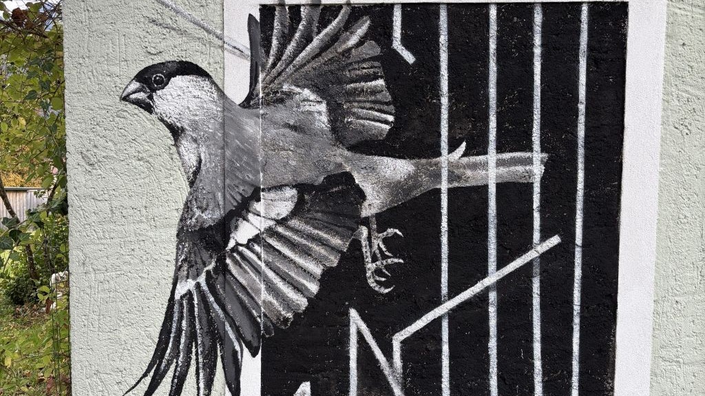 Heute.at - Lebenslange Ehe zerstört – so grausam ist die Vogeljagd