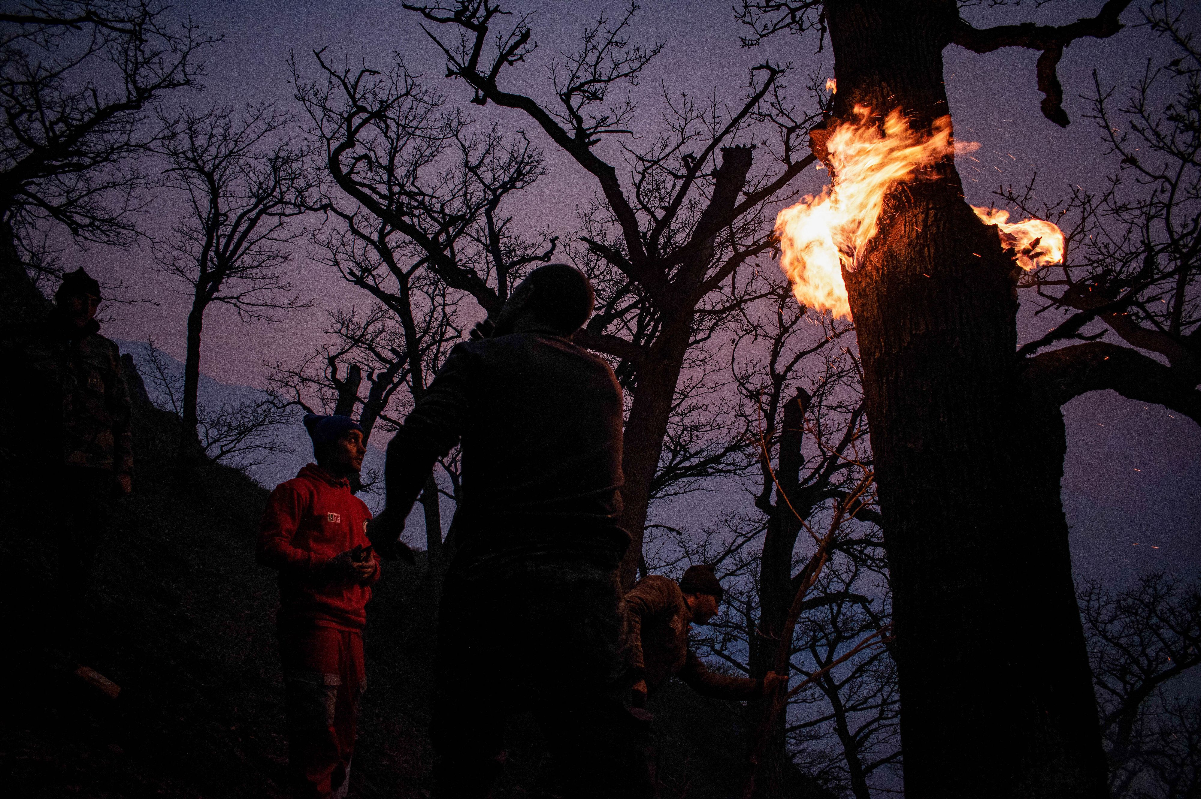 Heute.at - „Herzzerreißende Szenen“ – Naturparadies in Flammen