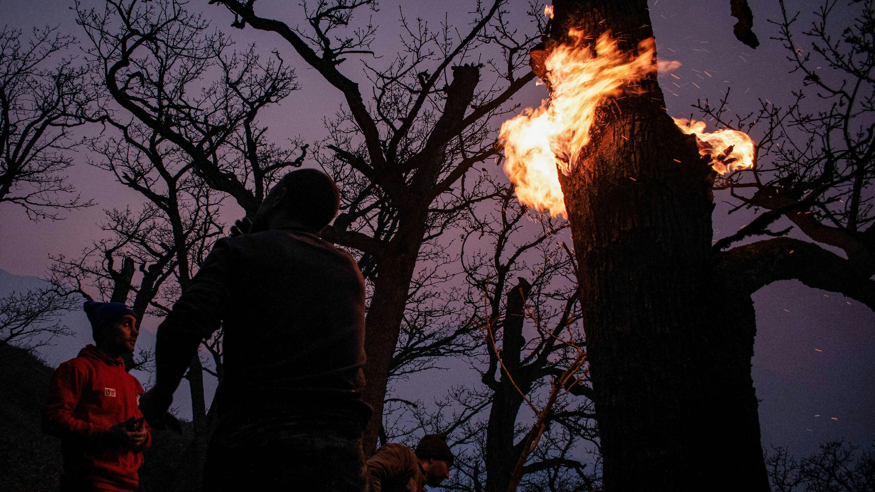 Heute.at - „Herzzerreißende Szenen“ – Naturparadies in Flammen