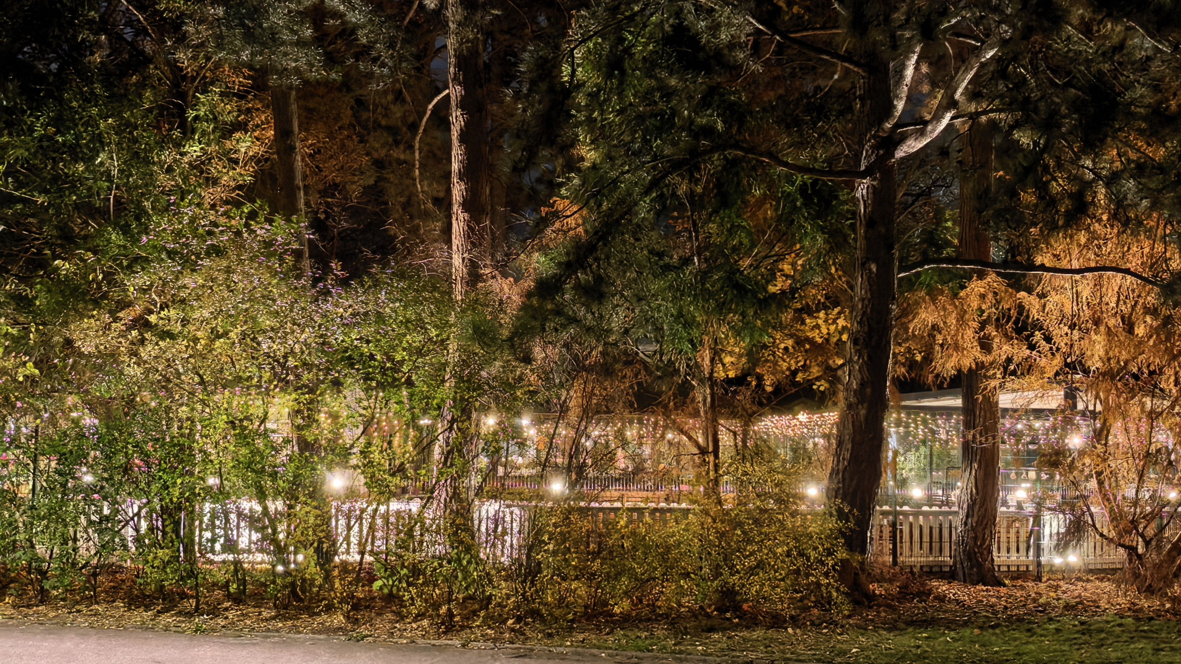 Knackscharf trotz 3,7-fach-Zoom und Nacht: Die variable Blende, der große Sensor, die Dual-Tele-Linsen und der Spektralsensor bieten phänomenale kreative Freiheit.