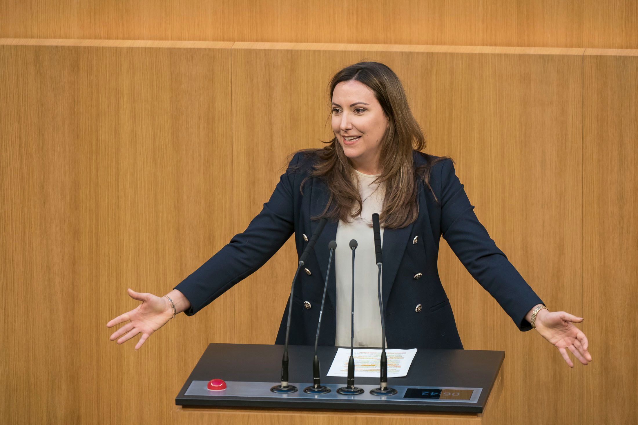 Heute.at - Mordaufrufe auf Facebook-Seite: Anzeige gegen Steger