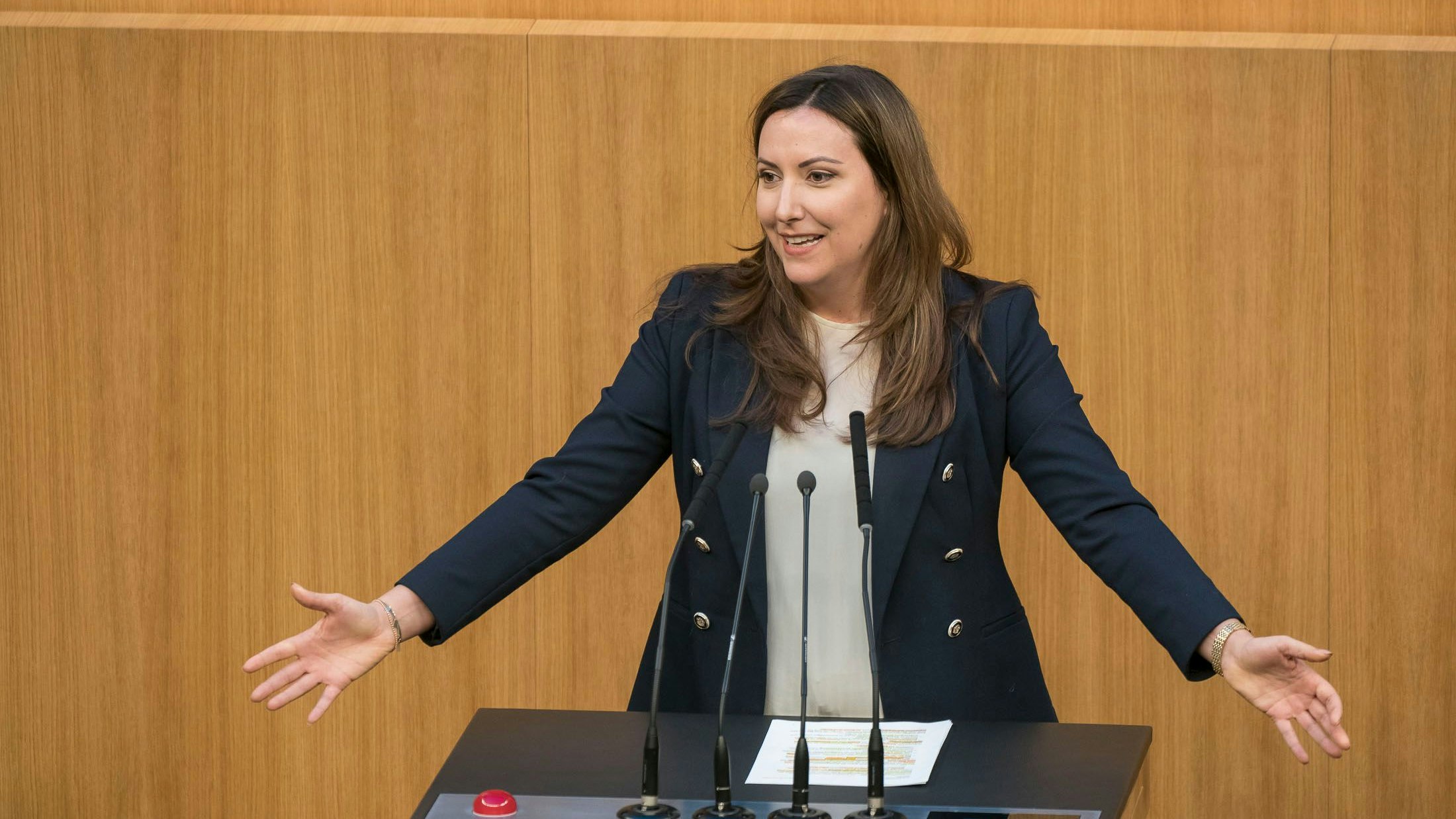 Petra Steger (FPÖ) kritisiert den Aufrüstungskurs der EU.