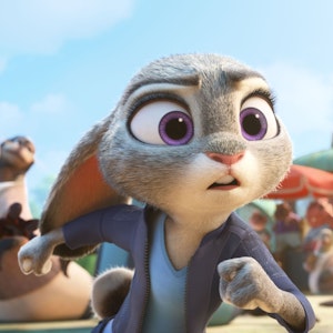 Warum sich Fuchs und Hase diese Woche nicht Gute Nacht sagen