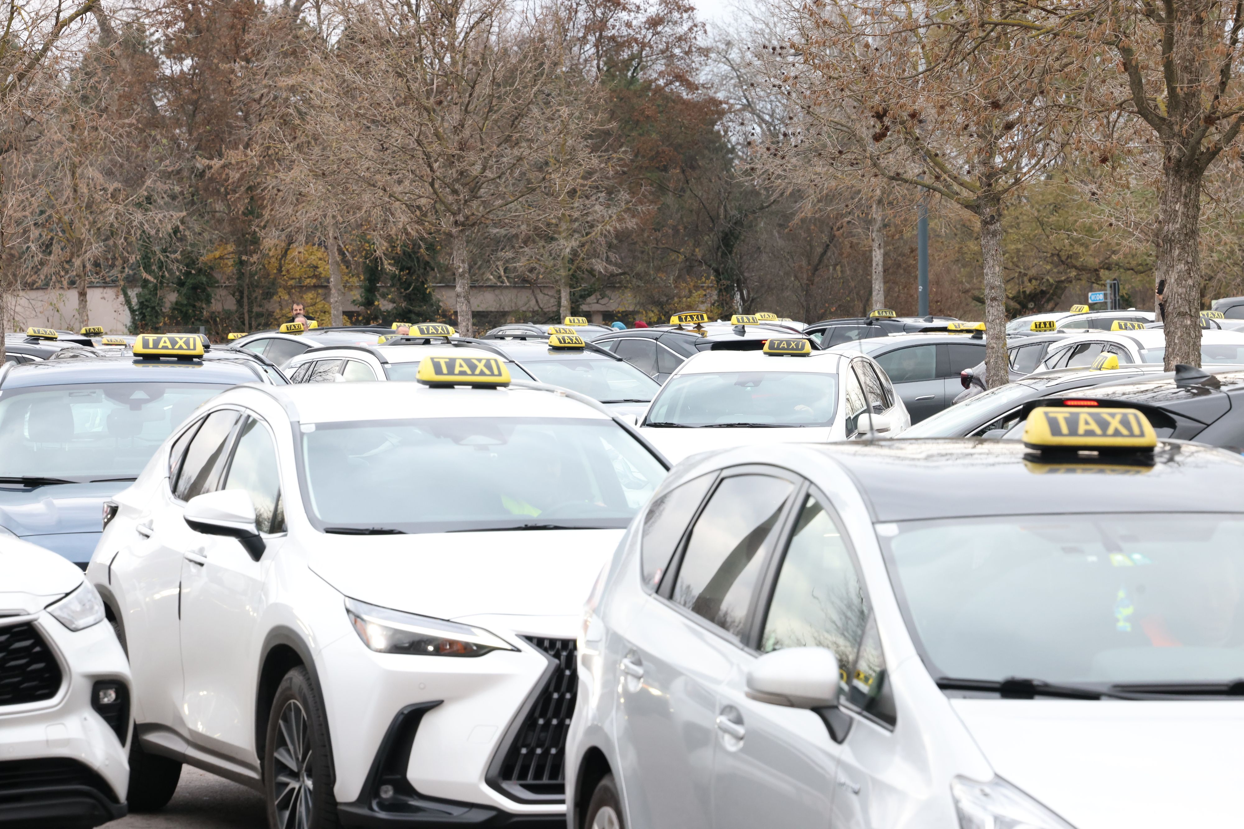 Taxler-Demo gegen Uber im November in Wien.
