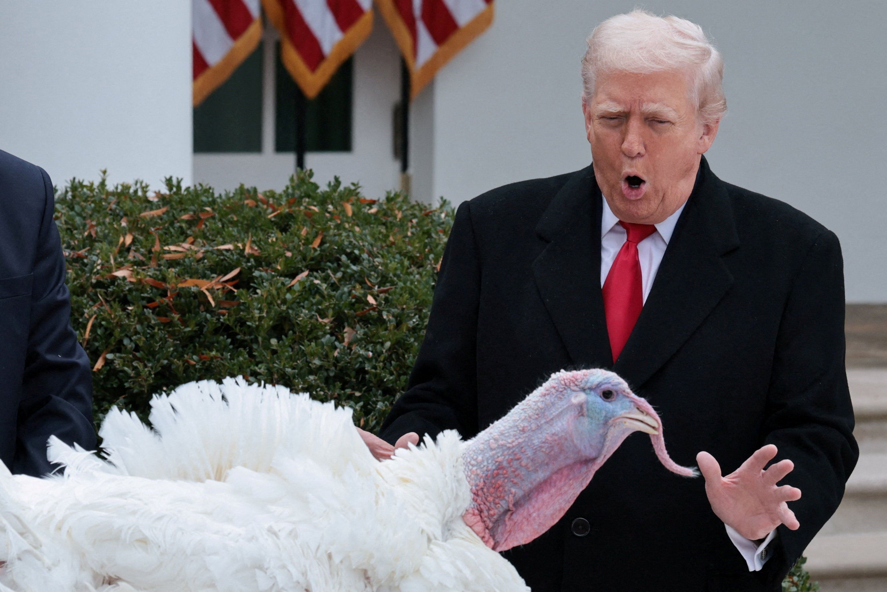 An Thanksgiving begnadigt der Präsident der USA traditionellerweise zwei Truthähne.