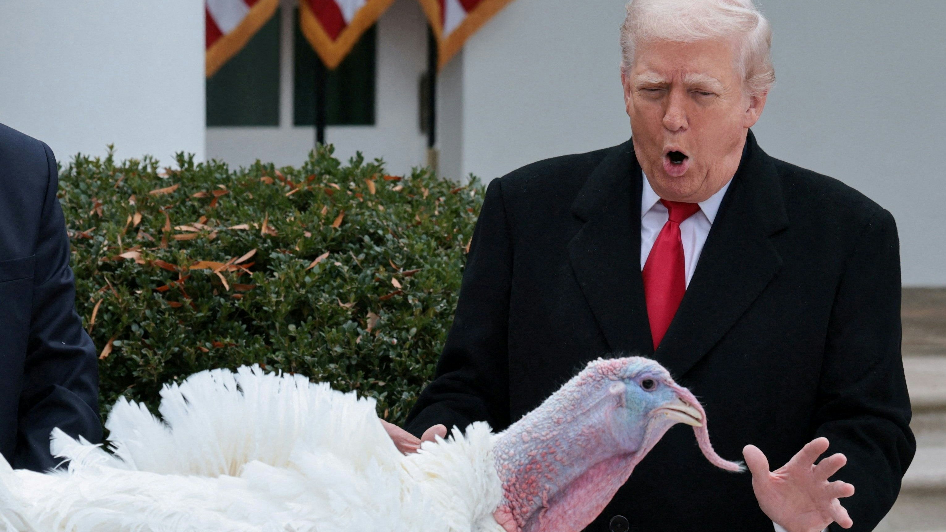 Heute.at - Trump begnadigt Truthähne und beleidigt seine Gegner