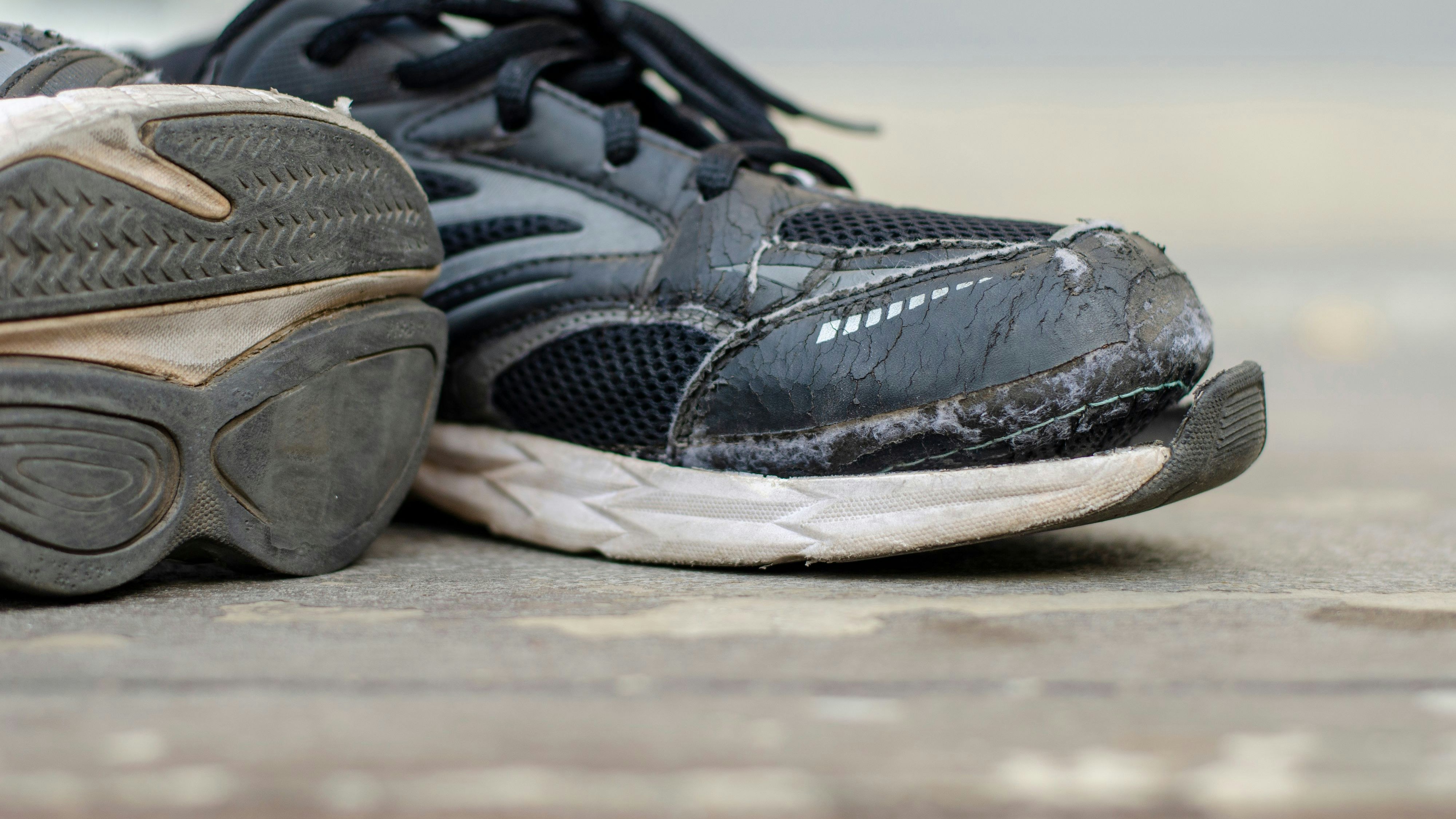 Heute.at - Salz streuen verboten – Stadt warnt jetzt Bürger