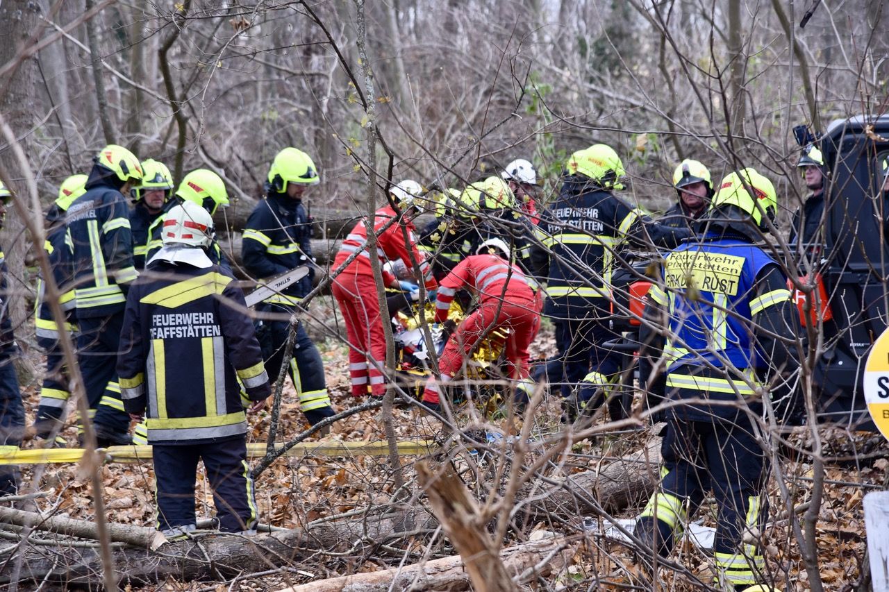 Der Mann wurde unter einem Baum eingeklemmt, konnte aber befreit und in ein Krankenhaus gebracht werden.
