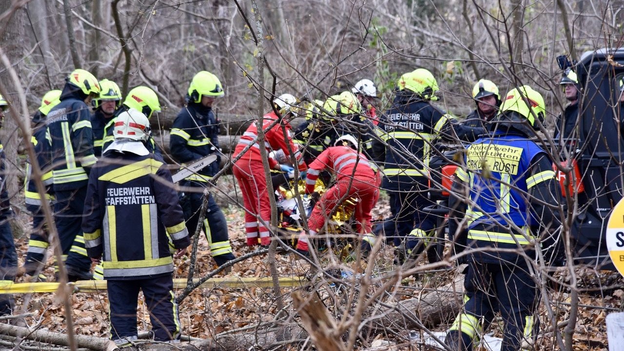 Der Mann wurde unter einem Baum eingeklemmt, konnte aber befreit und in ein Krankenhaus gebracht werden.