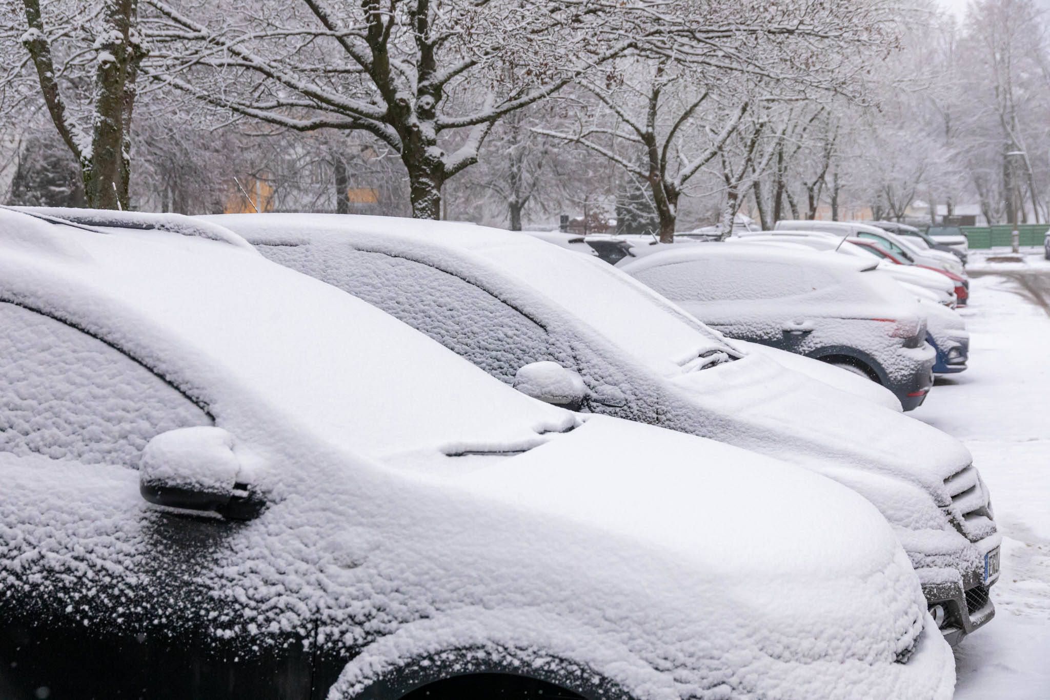 Heute.at - Top-Experte sagt, was jetzt auf Österreich zukommt