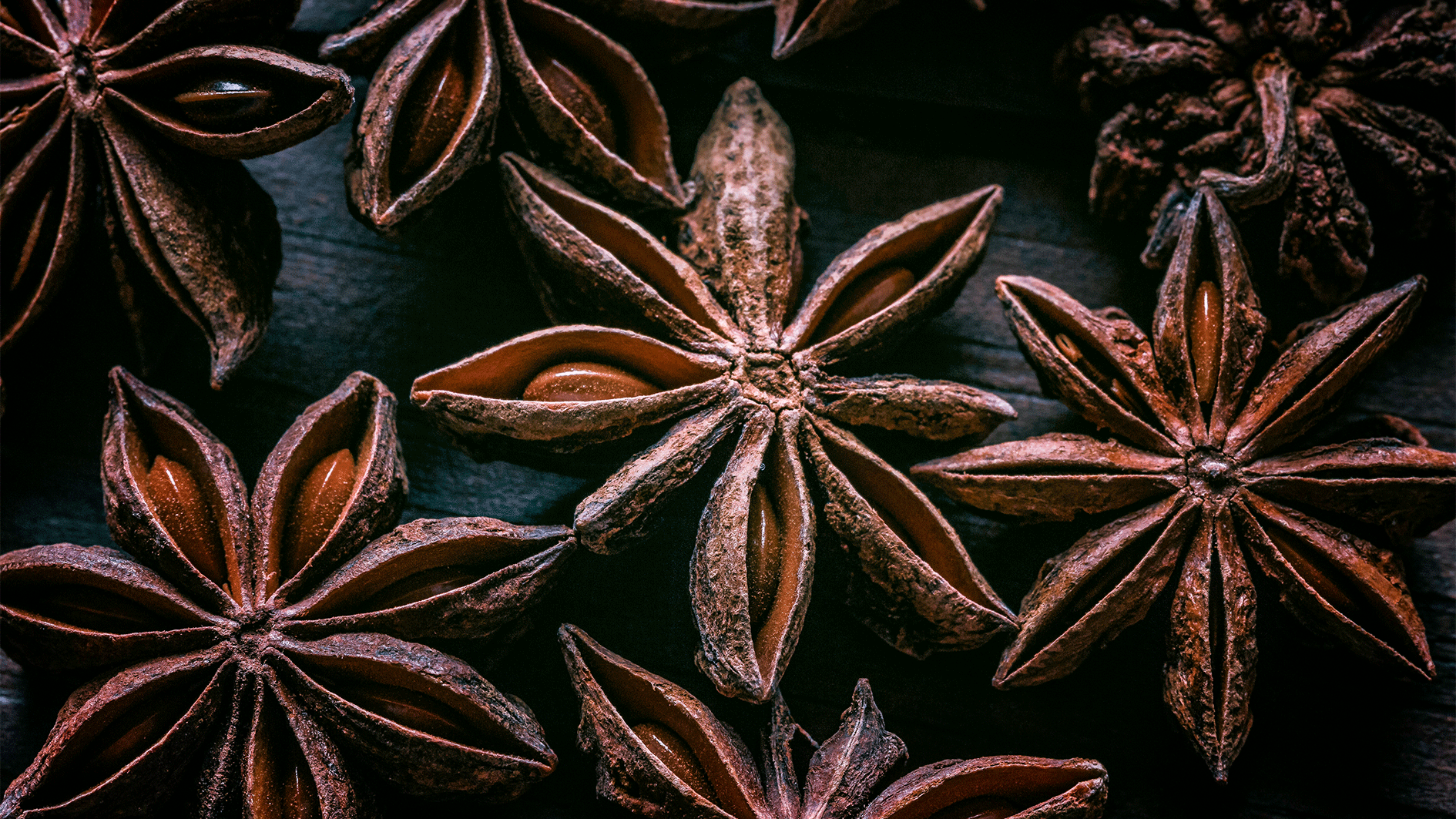 Heute.at - Star des Sternanis – warum Shikimisäure der Haut guttut