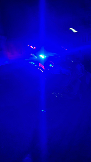 Wohnhausbrand Hernals: Feuerwehr rettet 18 Personen aus verrauchtem Gebäude. Verletzte versorgt, Ursache des Brandes noch ungeklärt.