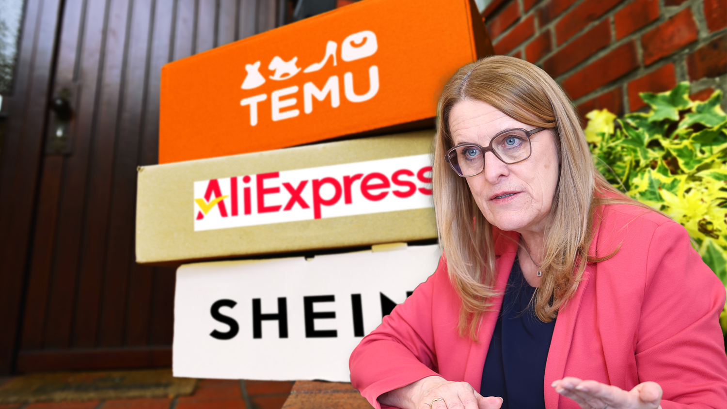 Staatssekretärin Ulrike Königsberger-Ludwig will nun geschlossen gegen Billig-Plattformen vorgehen.