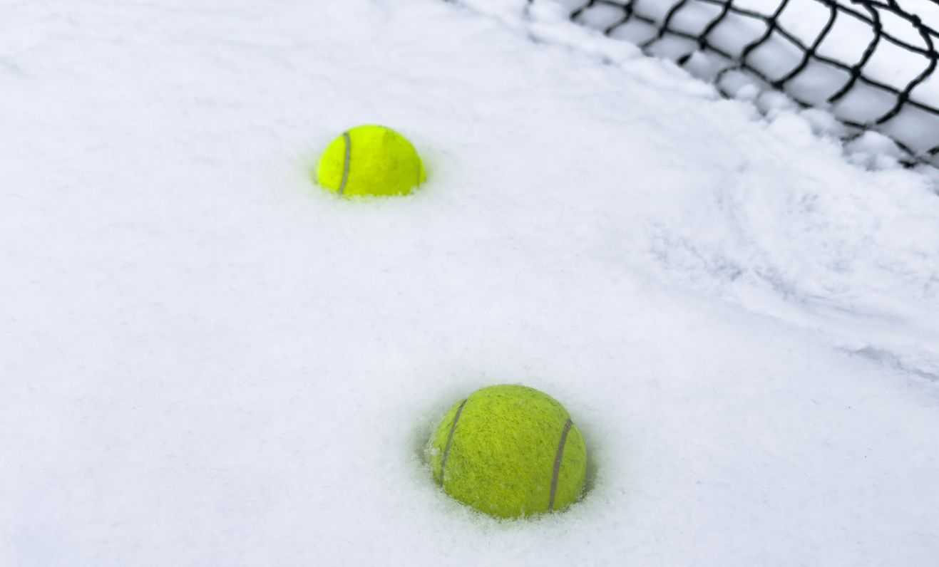 Heute.at - So rettet der Tennisball-Trick Leben im Garten