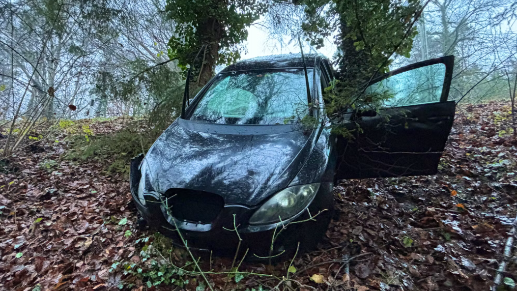 Heute.at - Drogen-Lenker kracht in Baum und flüchtet nach Hause