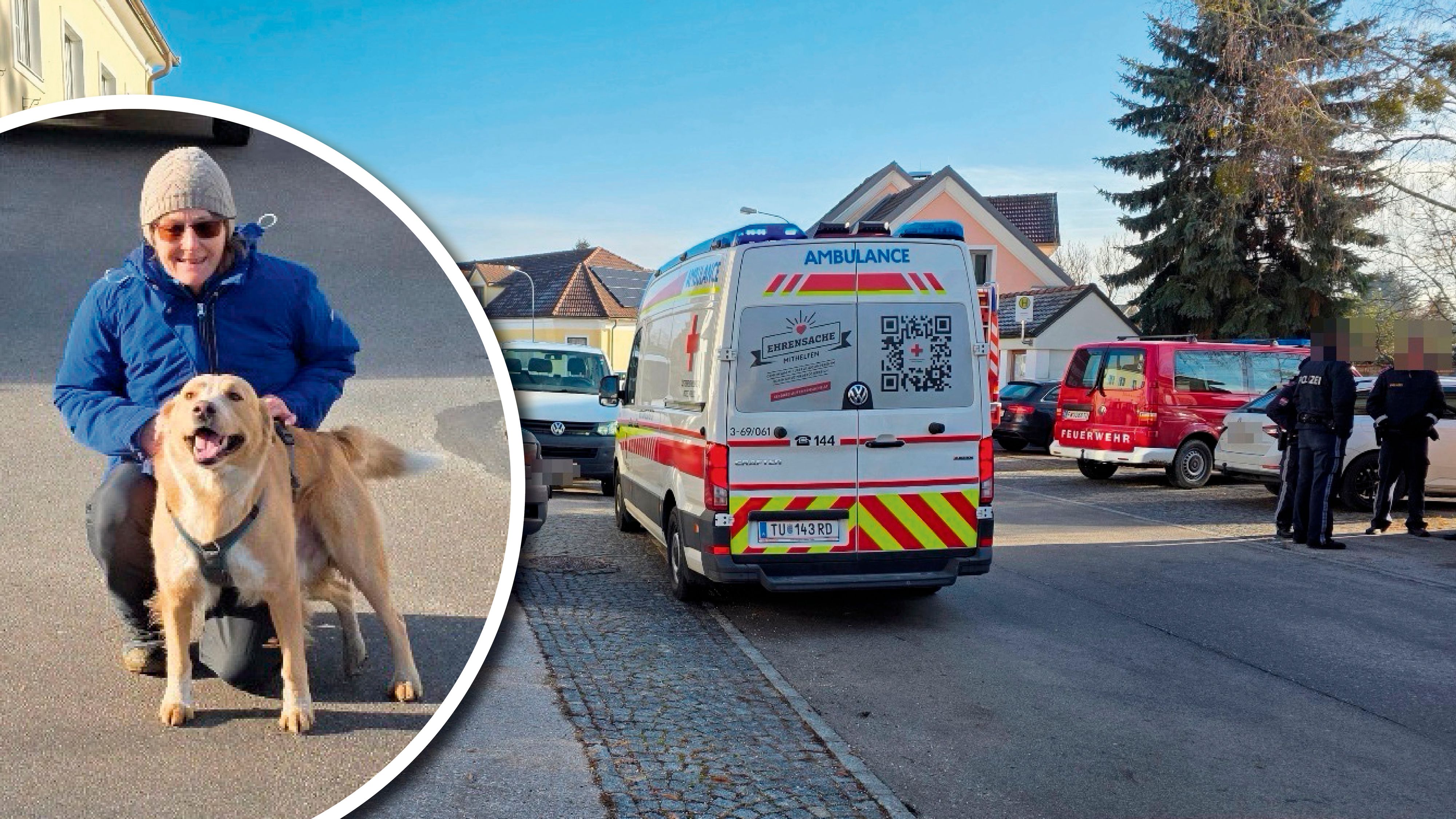 Der Hund rettete die 8-Jährige.