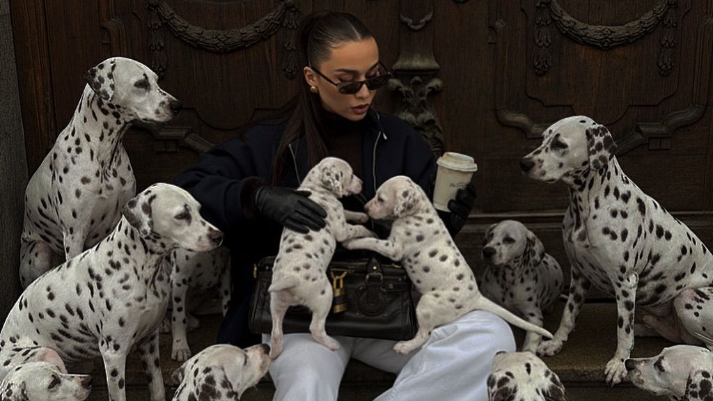 Heute.at - Fake-Tiere für Klicks: Neuer Insta-Hype polarisiert