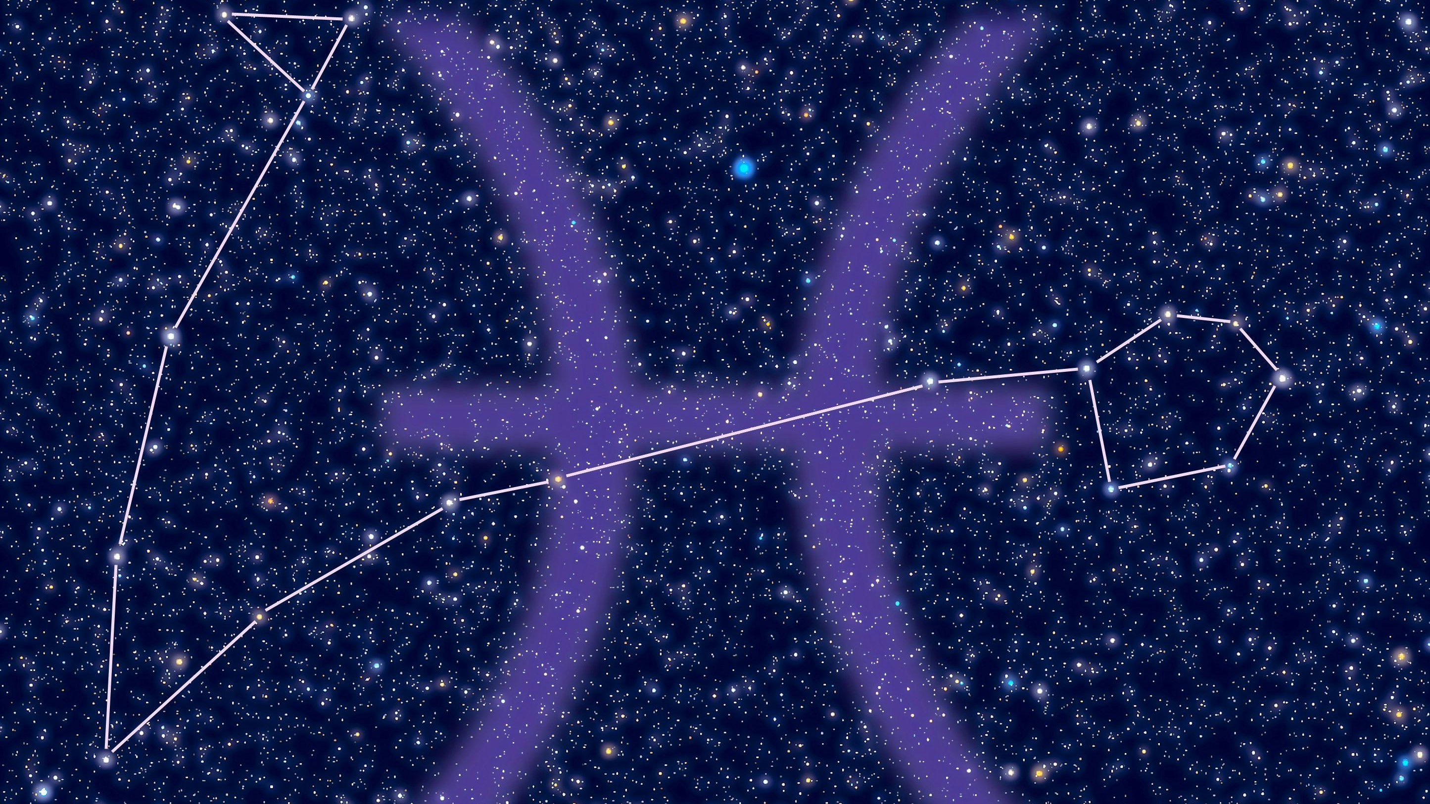 Die Fische lassen Ballast los.