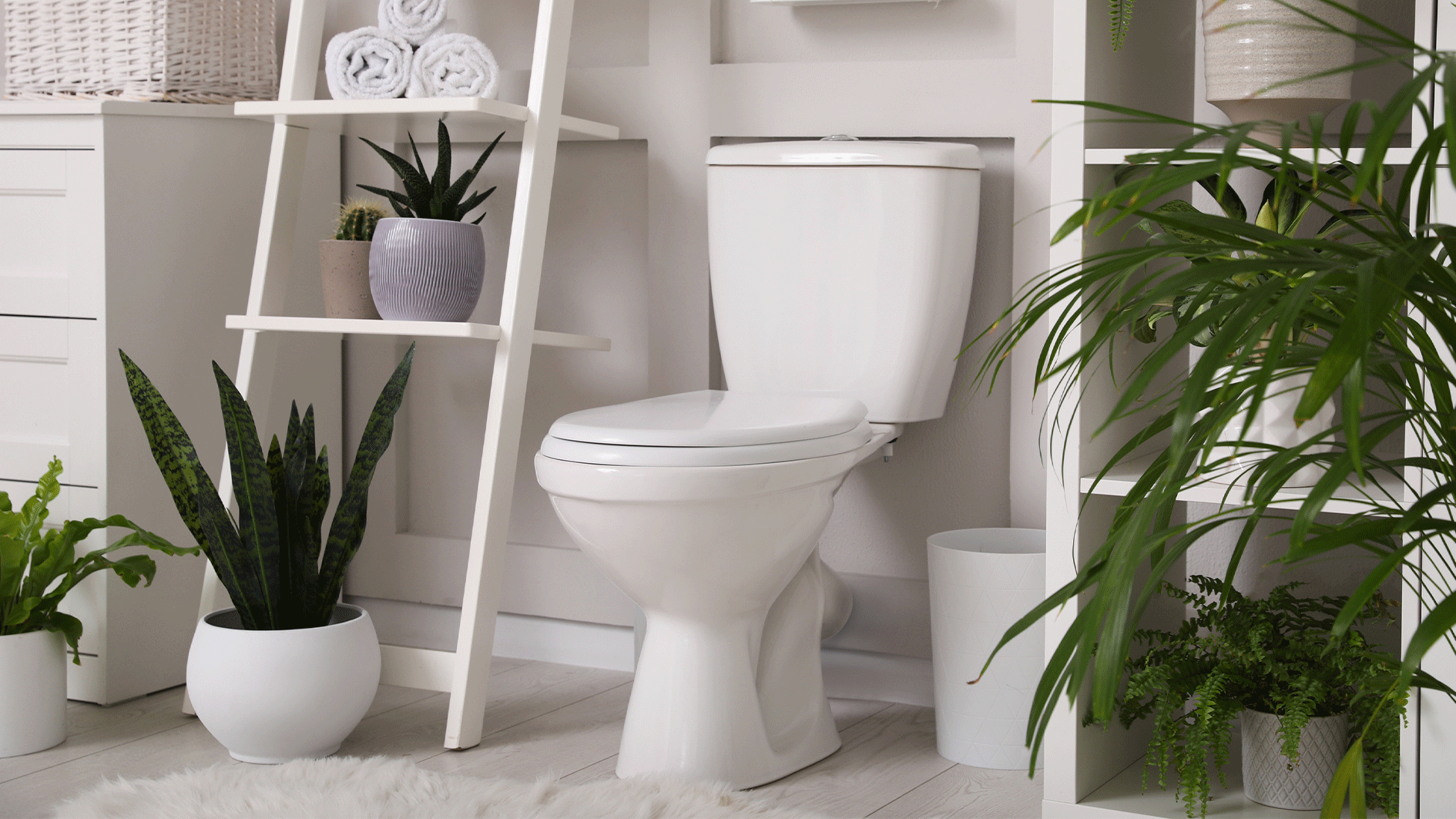 Heute.at - Das WC läuft noch nach dem Spülen? Das sind die Gründe