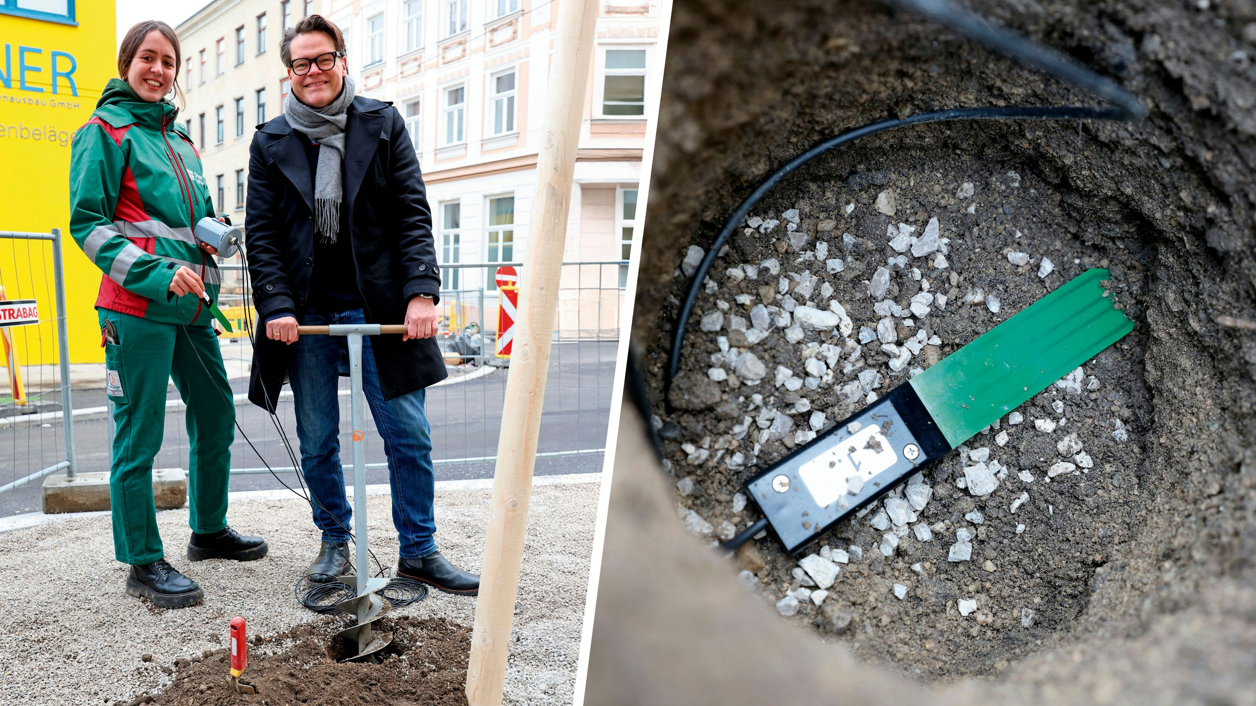 Heute.at - Hightech-Gießtrick – Sensoren sollen Bäume fit machen