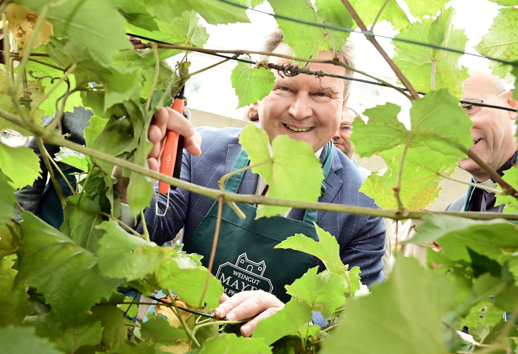 Heute.at - Ludwig: Wien ist die Gemüsehauptstadt Europas!