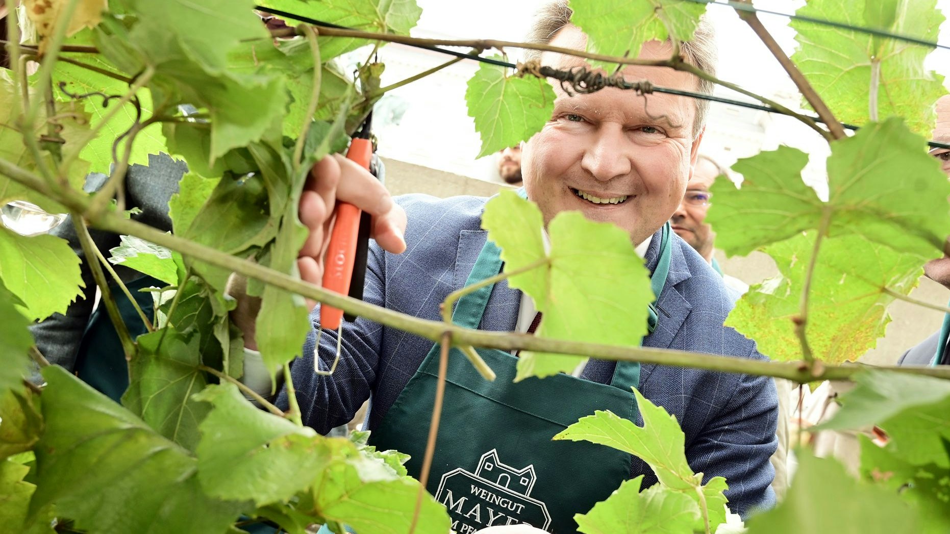 Heute.at - Ludwig: Wien ist die Gemüsehauptstadt Europas!