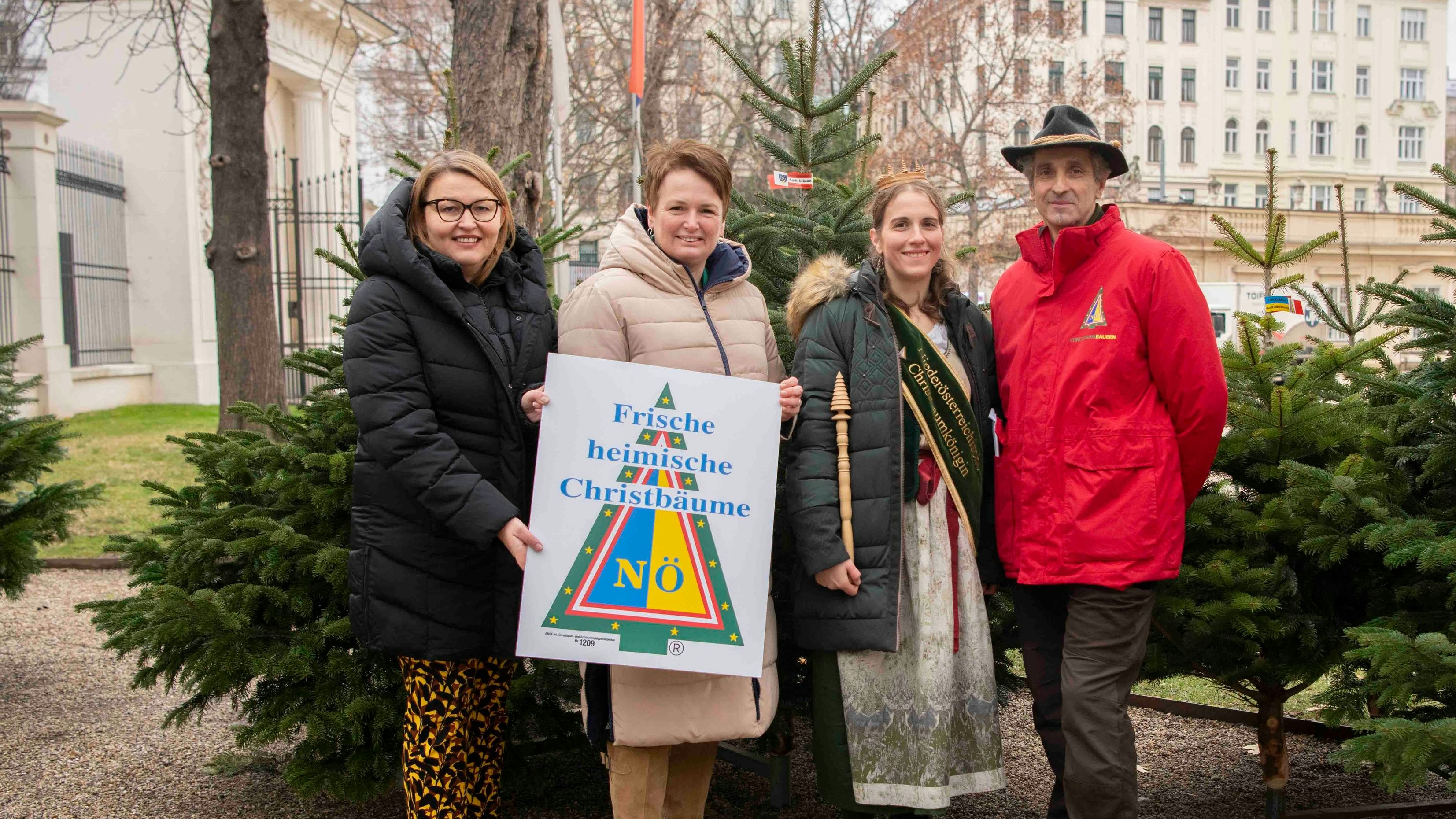 Heute.at - Heimische Christbäume – wann sie zu haben sind