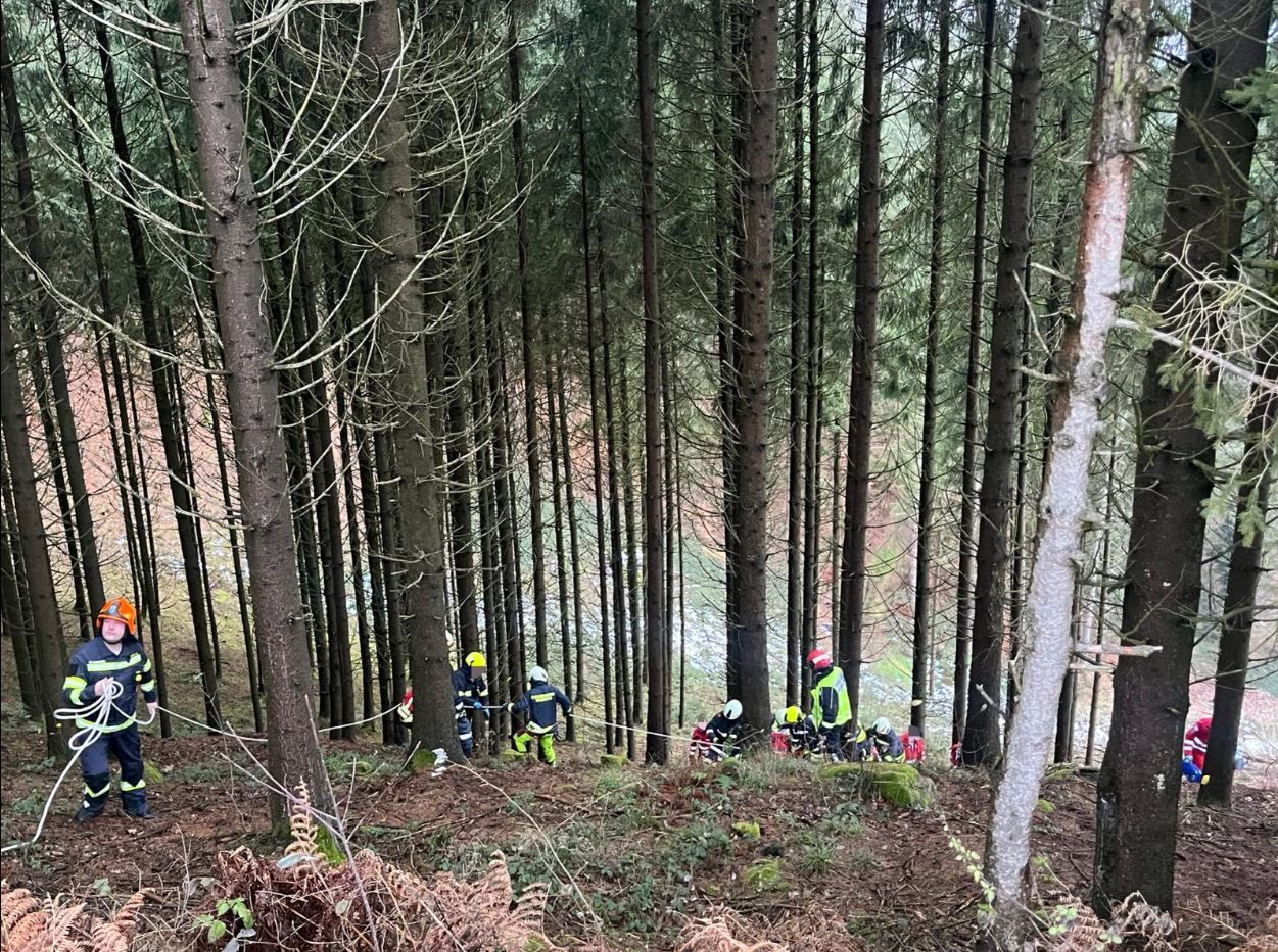 Schwerer Forstunfall im Bezirk Amstetten