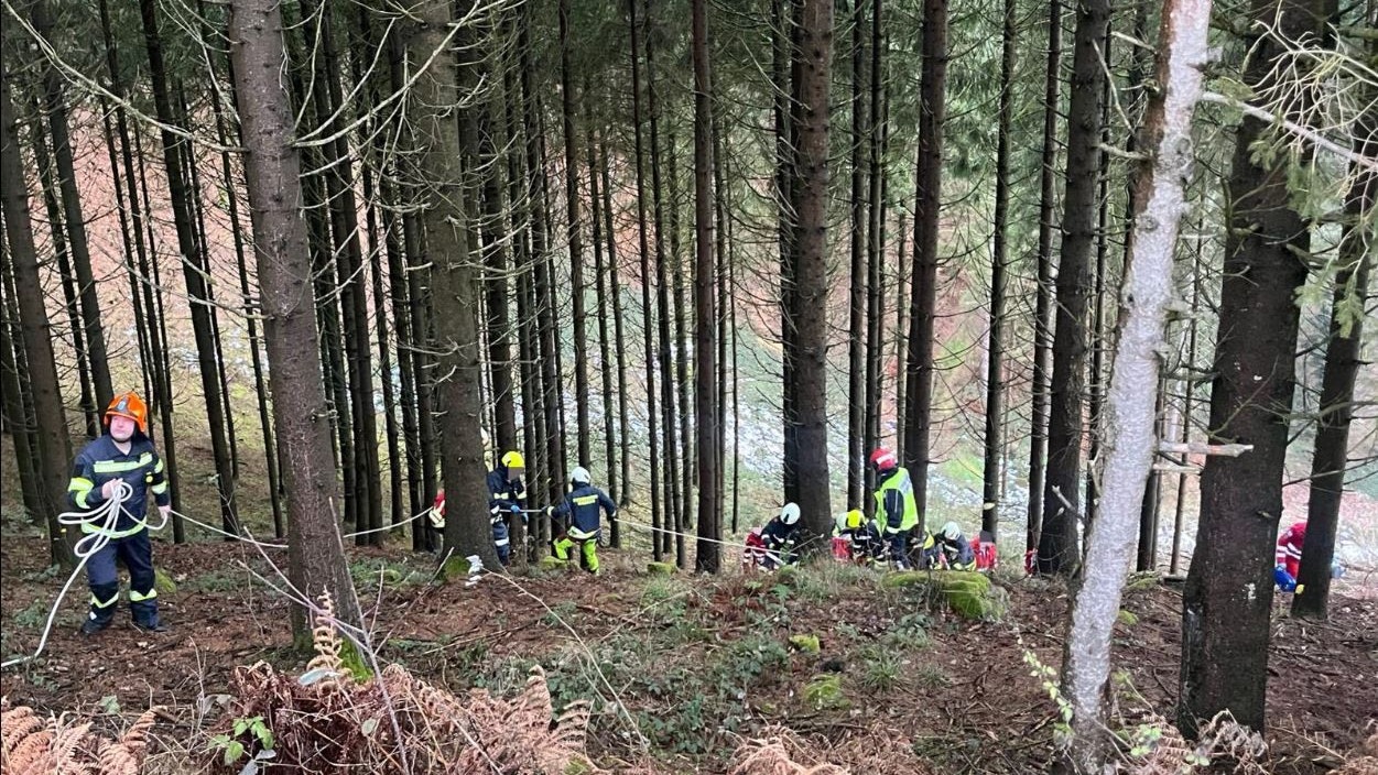 Heute.at - Neustadtler Feuerwehr rückt zu schwerem Forstunfall aus