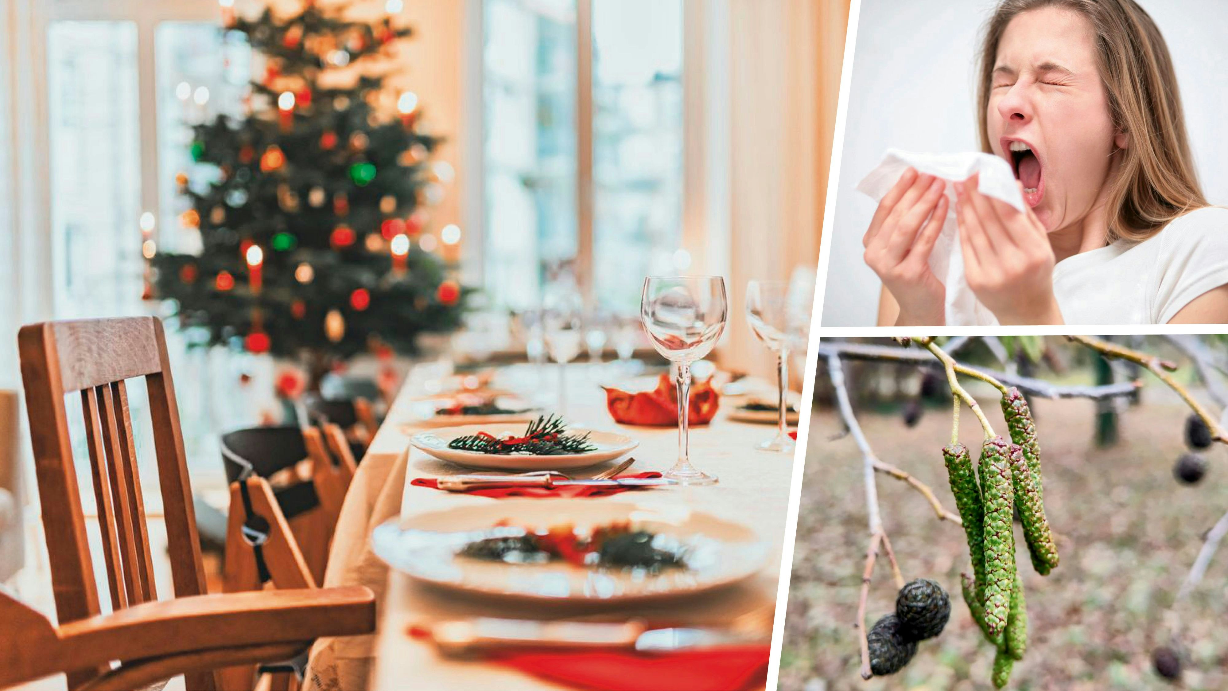 Heute.at - Klimawandel sorgt für Pollenstress zur Weihnachtszeit