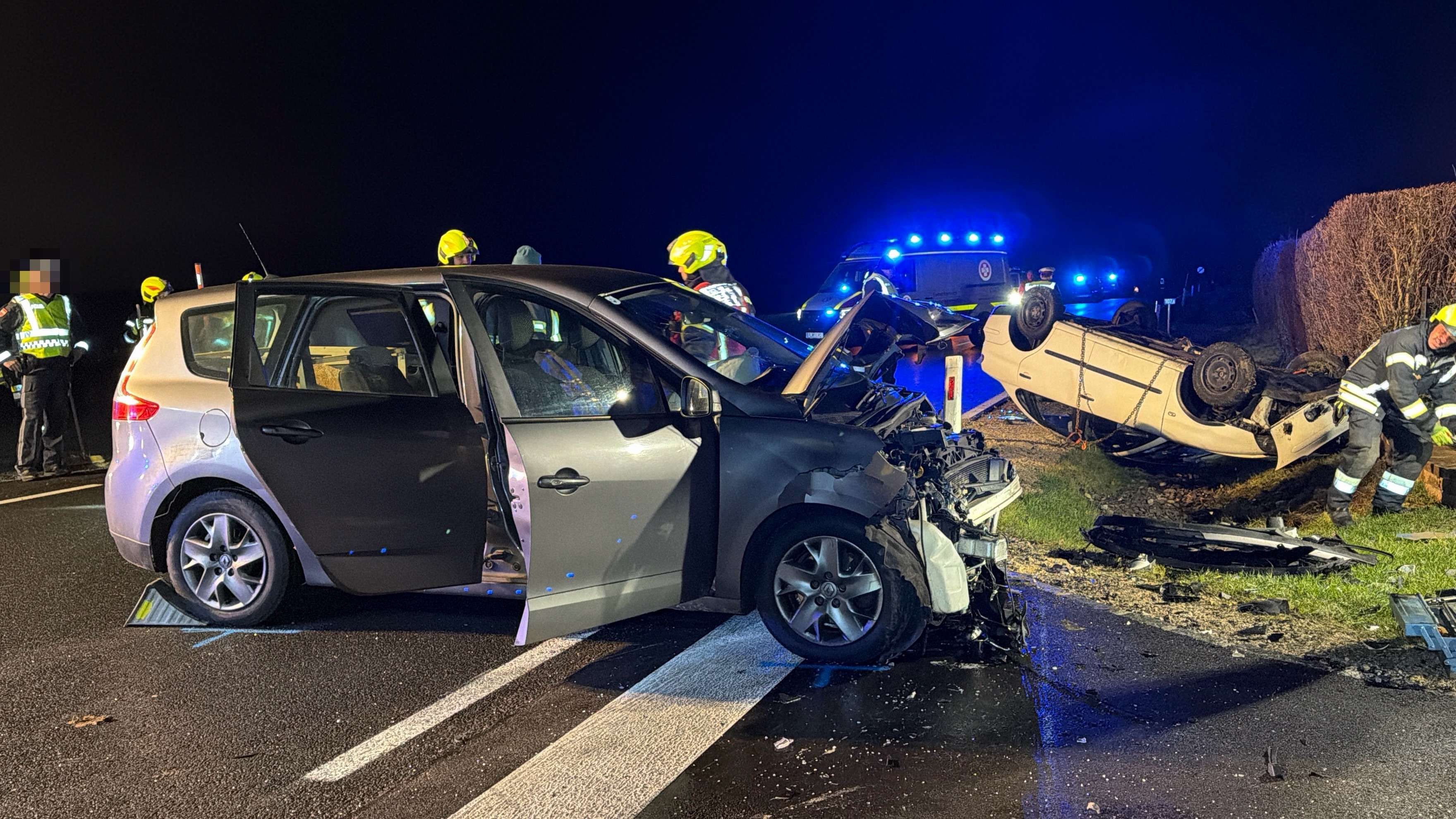 Bei einem Unfall im Bezirk Melk wurden zwei Personen verletzt. Ein Hund wurde eingeschläfert.