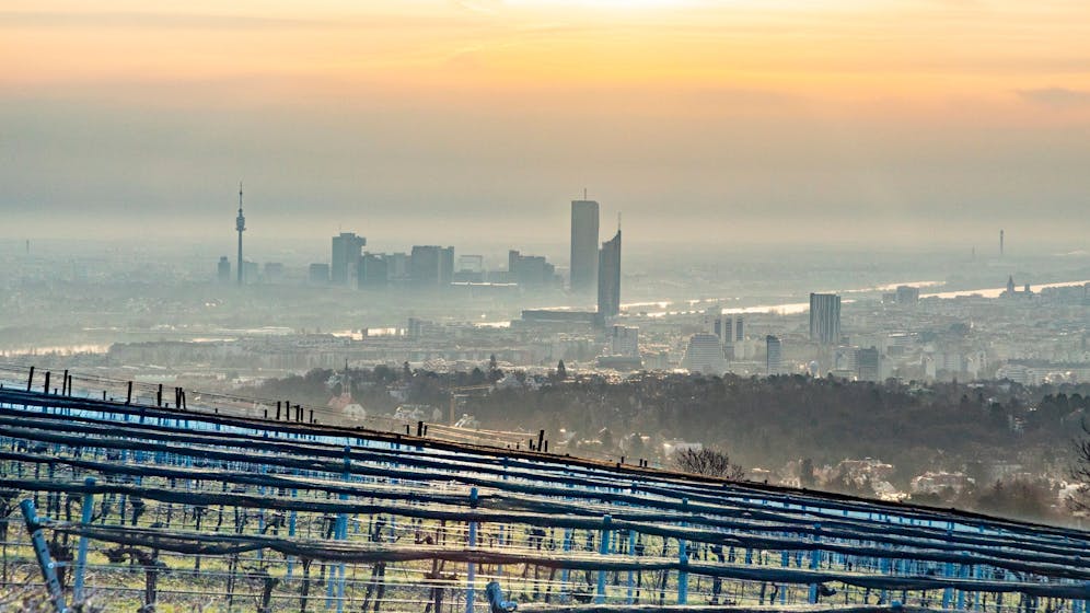 Heute.at - Im Donauraum – Top-Experte macht klare Ansage