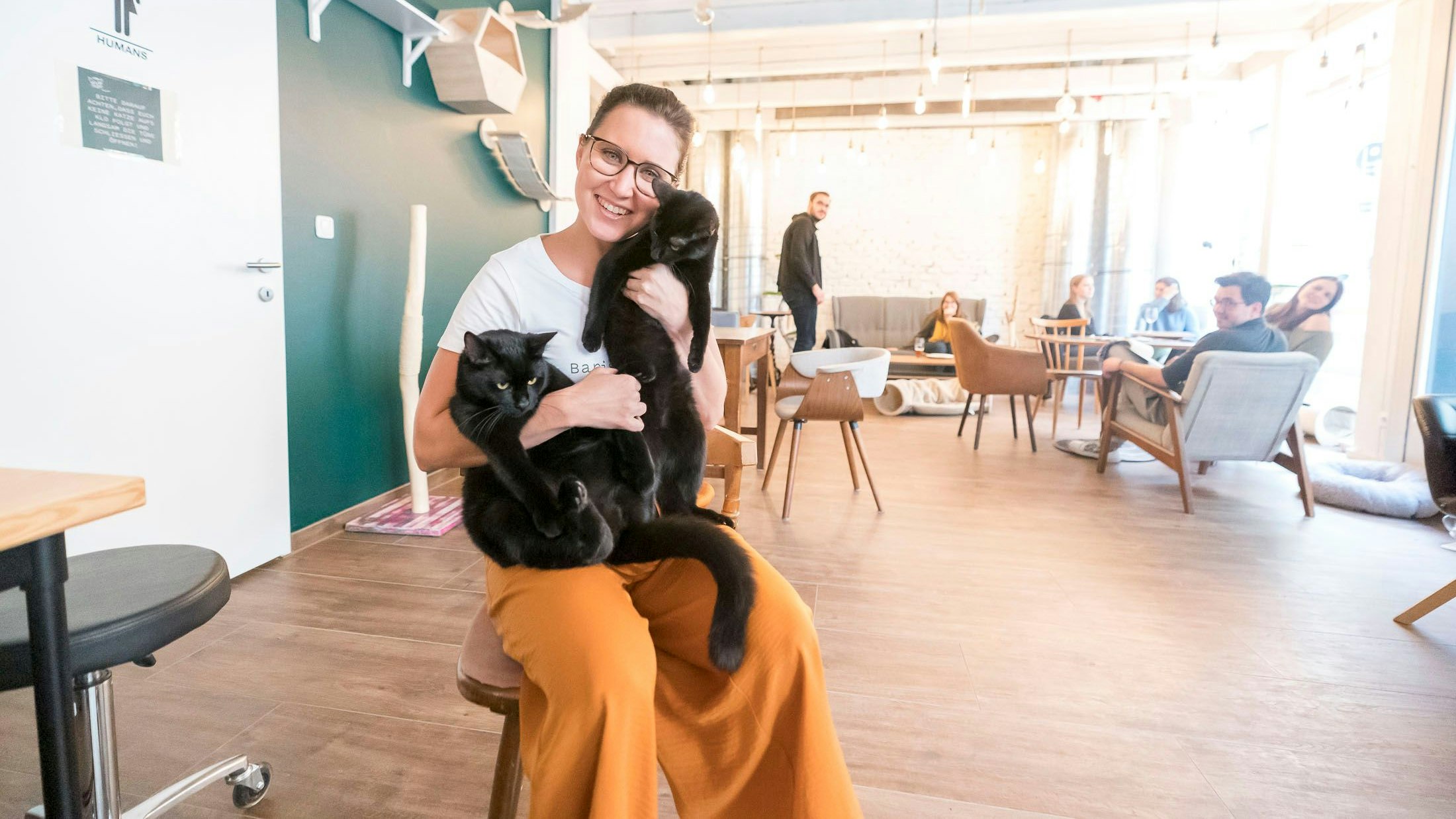 Heute.at - Wegen Behördenfehler – Katzencafé steht vor dem Aus