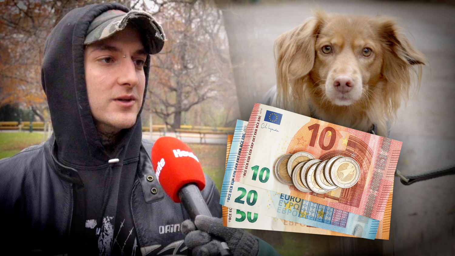 Heute.at - Hundesteuer-Schock: Die knöpfen uns überall Geld ab!