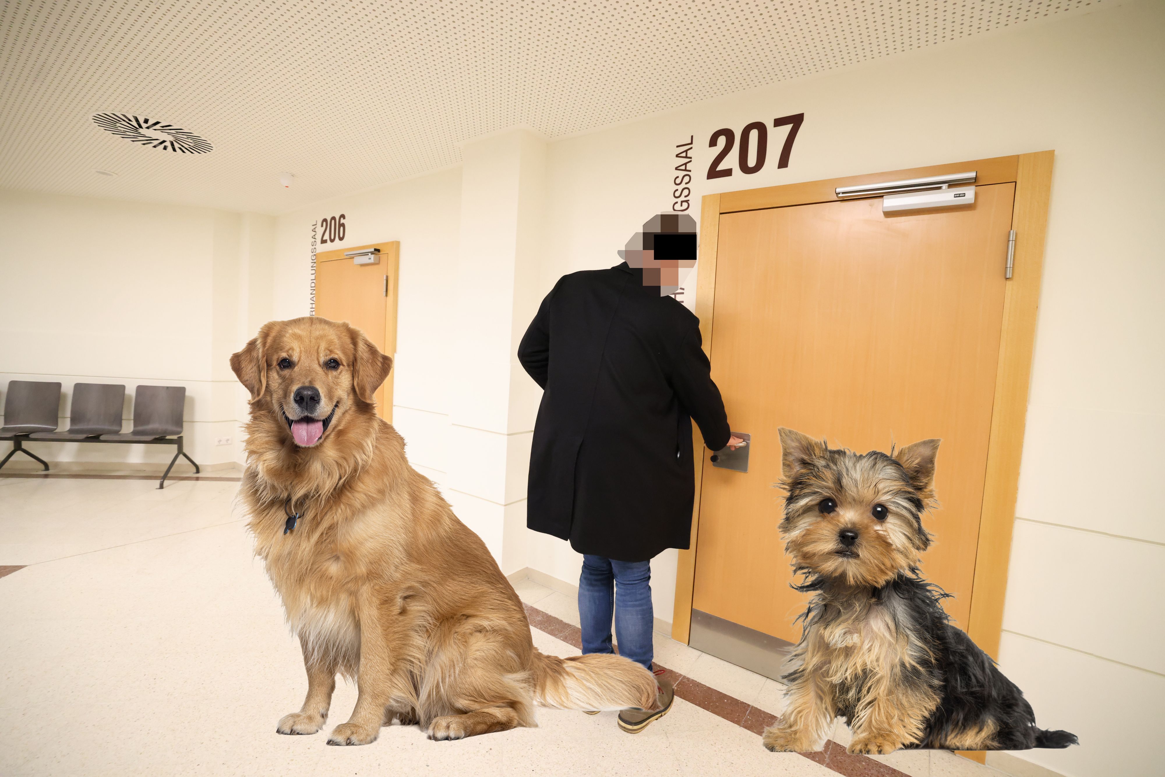 Der Verdächtige soll seine Hunde misshandelt haben. 