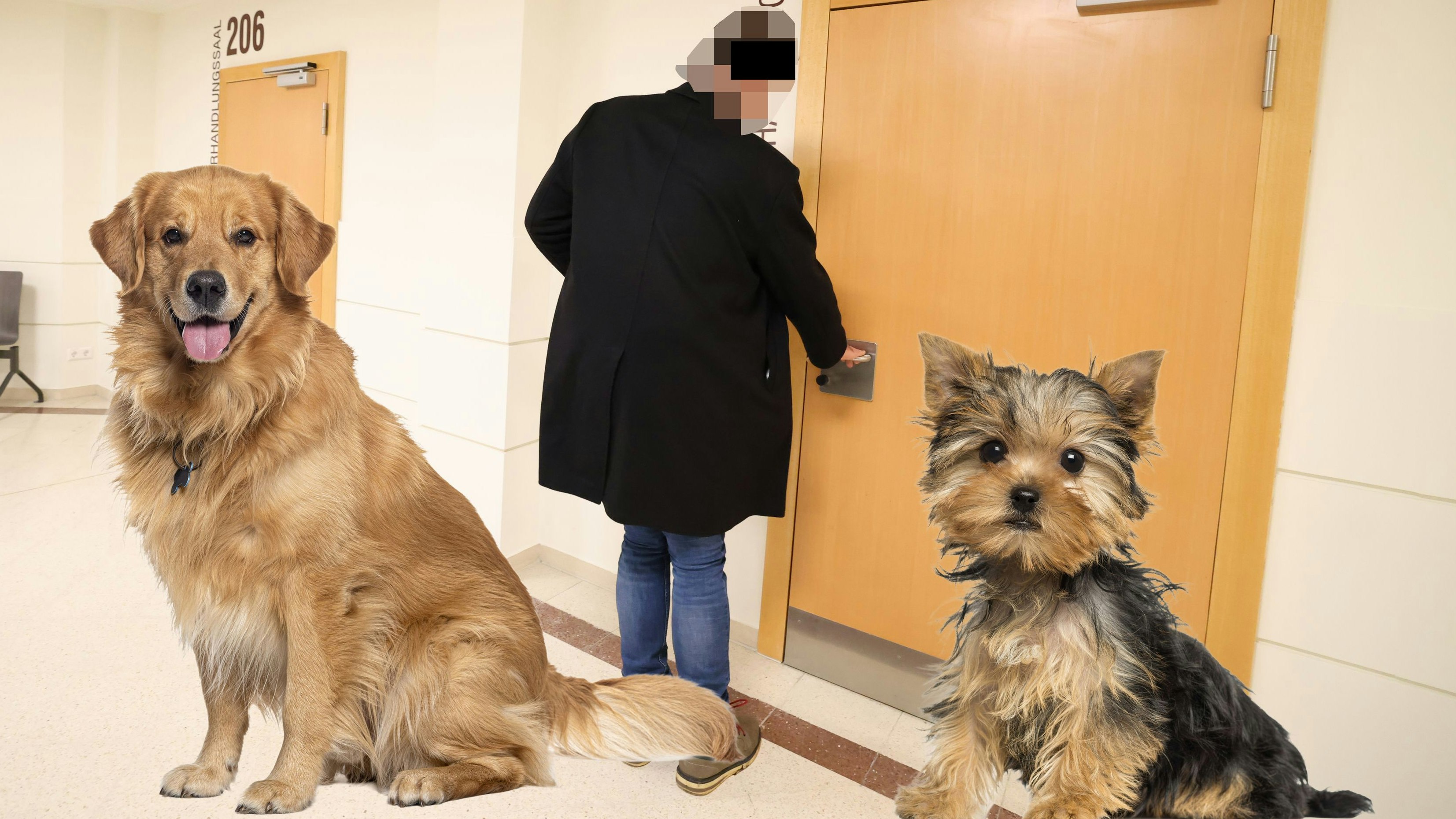 Heute.at - Mann läuft in Unterhose durch Wien, wirft Hund an Wand